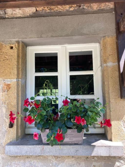 Vakantiehuis La Poire, Op Landgoed Aan De Dordogne Prudhomat Extérieur photo